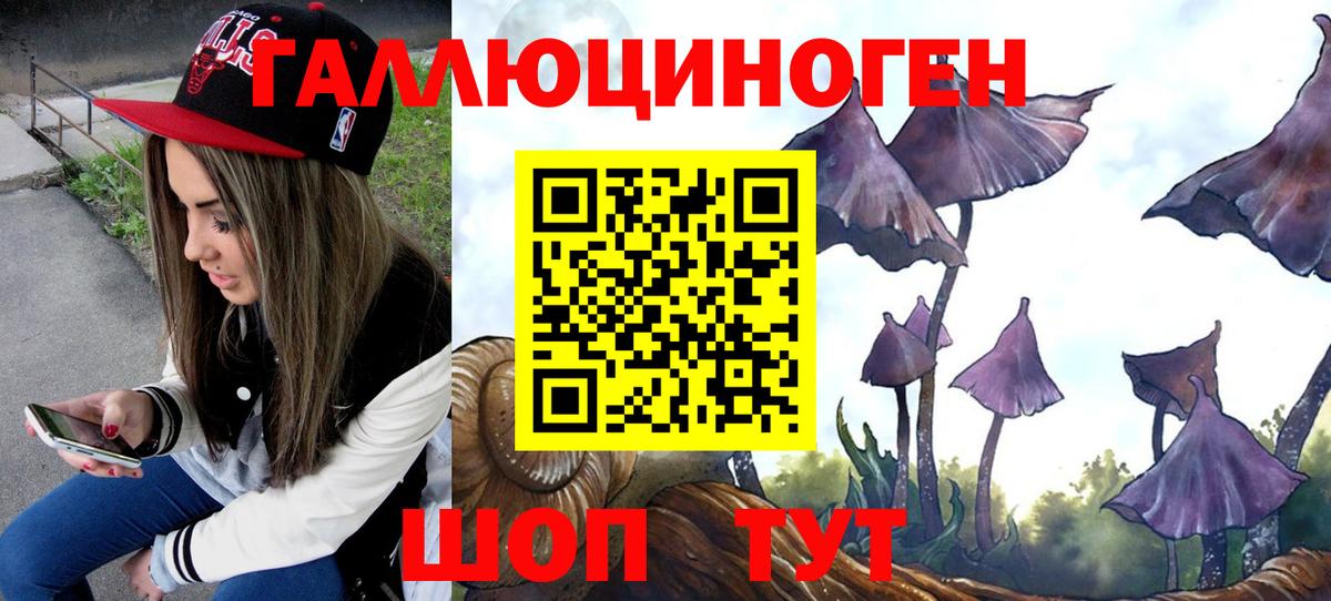 Псилоцибиновые грибы Cubensis Железногорск
