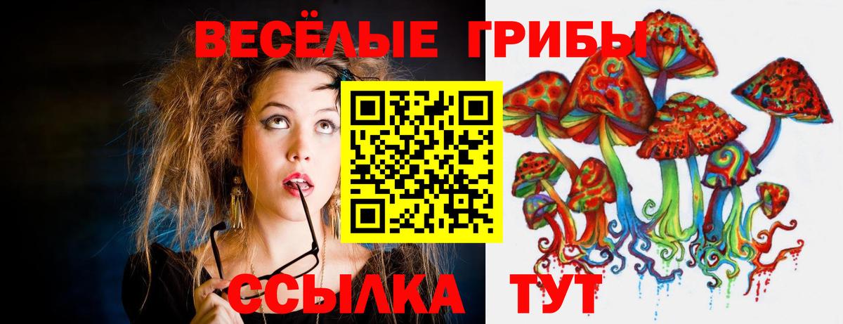 Железногорск  Галлюциногенные грибы мухоморы  Вход с VPN 